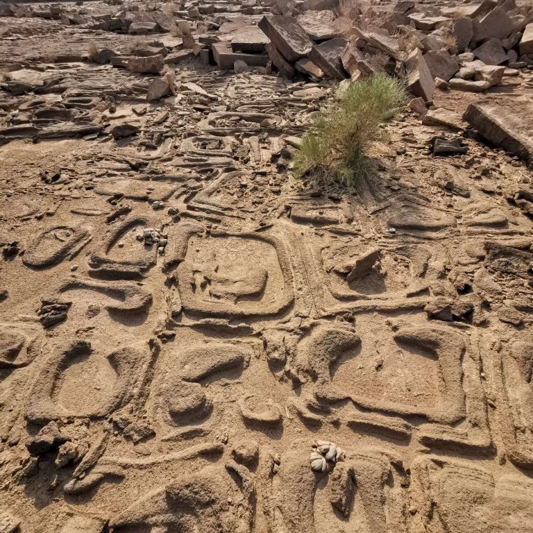 2023_09_03_17_07_IMG_2427